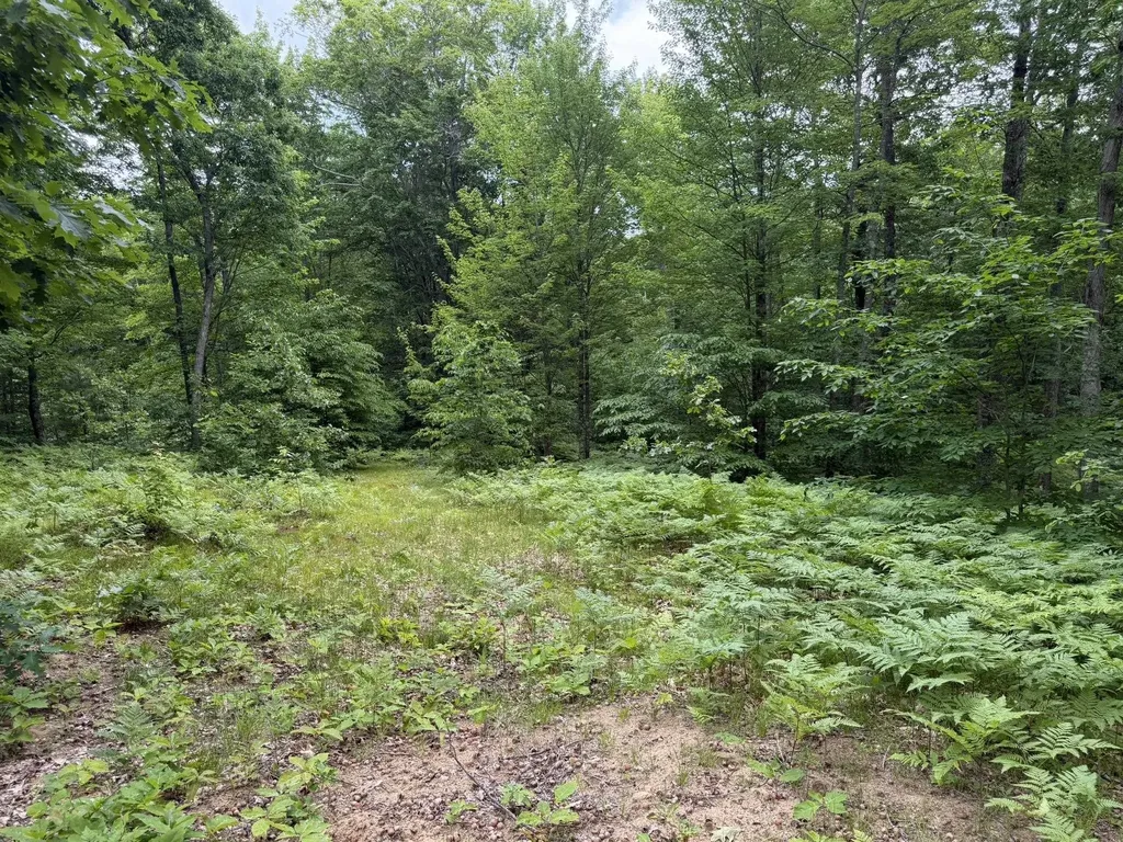 8696 E Hillview Trail Pinora Township MI 49677