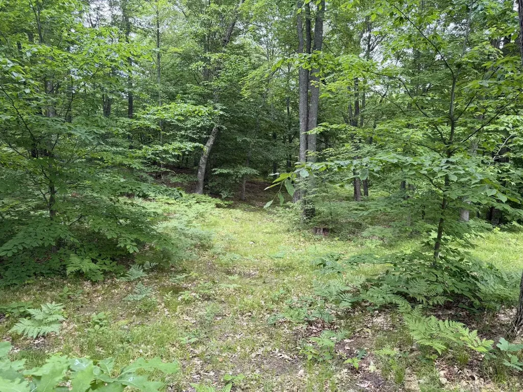8696 E Hillview Trail Pinora Township MI 49677