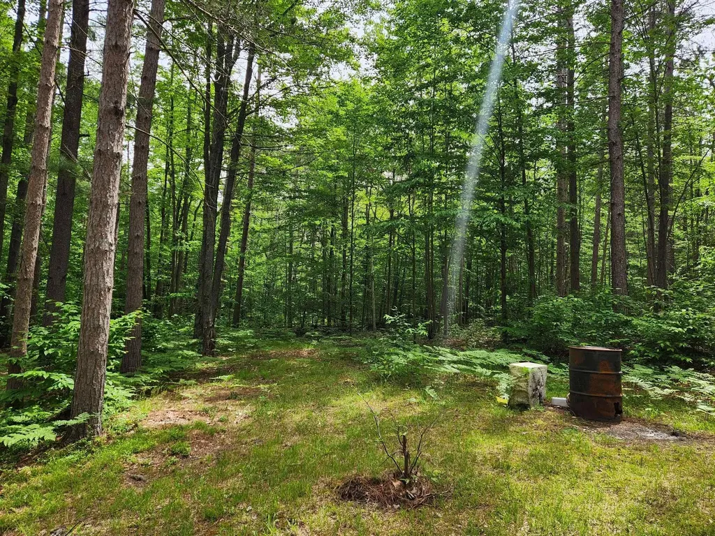 5364 Blue Lake Road, NE Blue Lake Township MI 49646