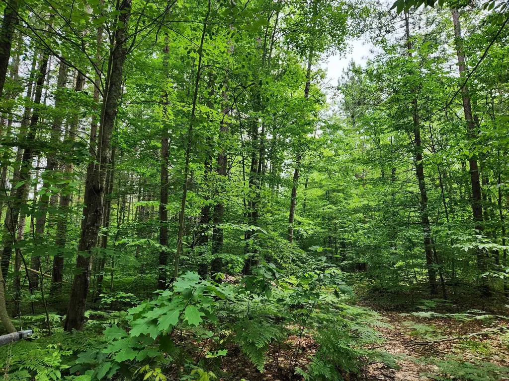 5364 Blue Lake Road, NE Blue Lake Township MI 49646