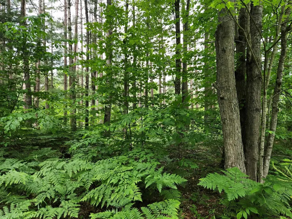 5364 Blue Lake Road, NE Blue Lake Township MI 49646