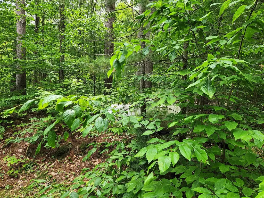 5364 Blue Lake Road, NE Blue Lake Township MI 49646