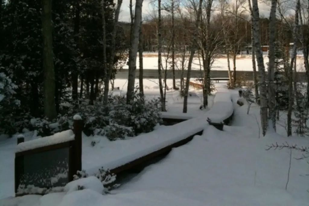 407 N Twin Pines Drive Leland Township MI 49653