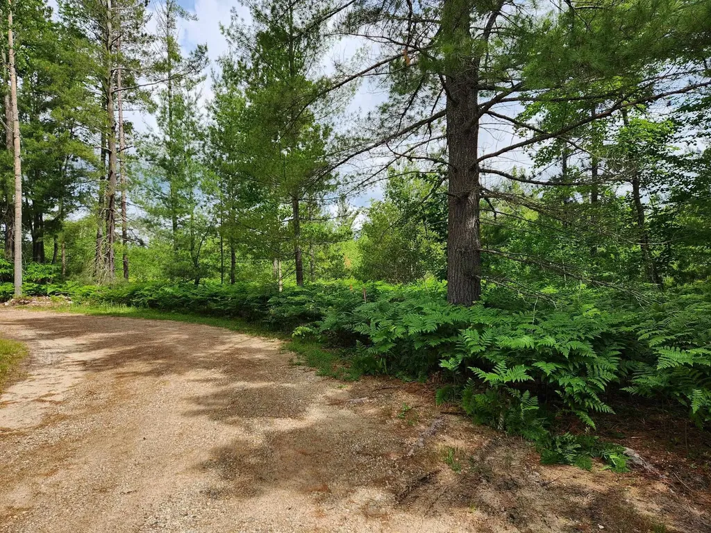 5446 Blue Lake Road, NE Blue Lake Township MI 49646
