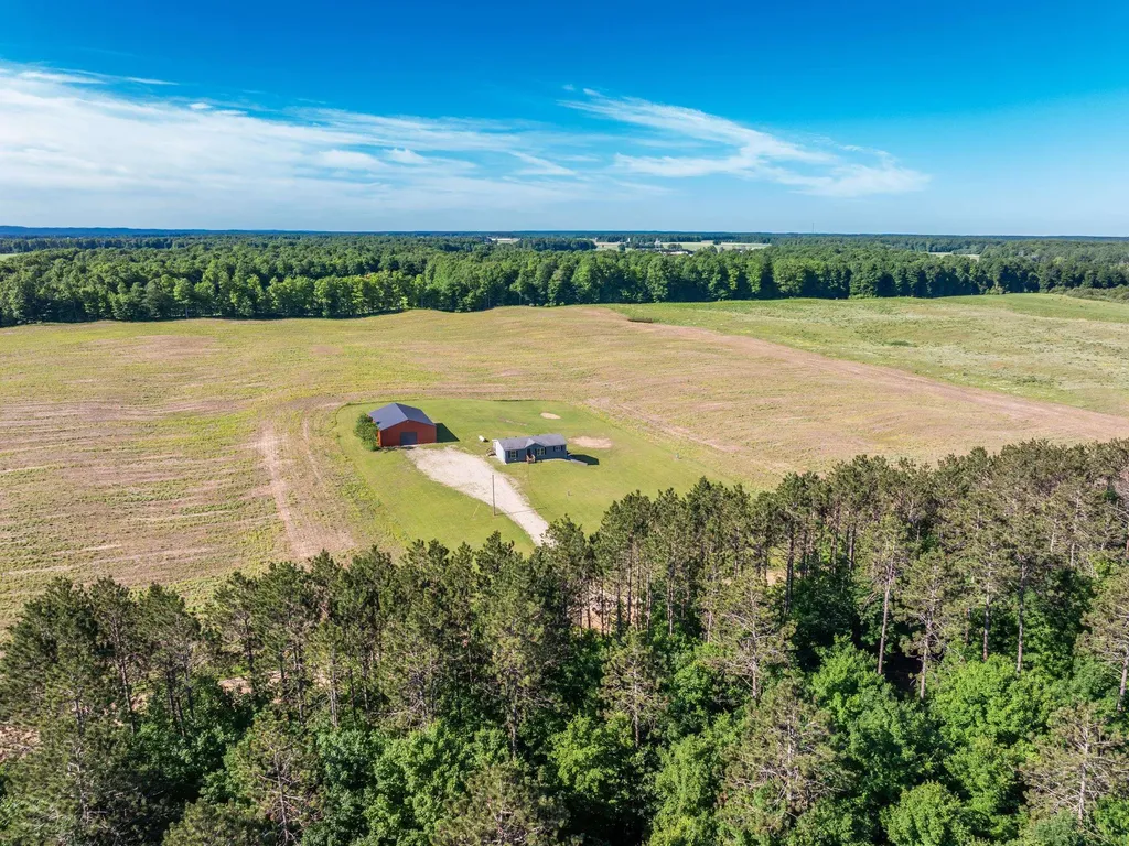 8325 Schell Road Grant Township MI 49620