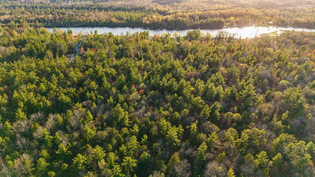 Parcel D Aarwood Trail Clearwater Township MI 49676
