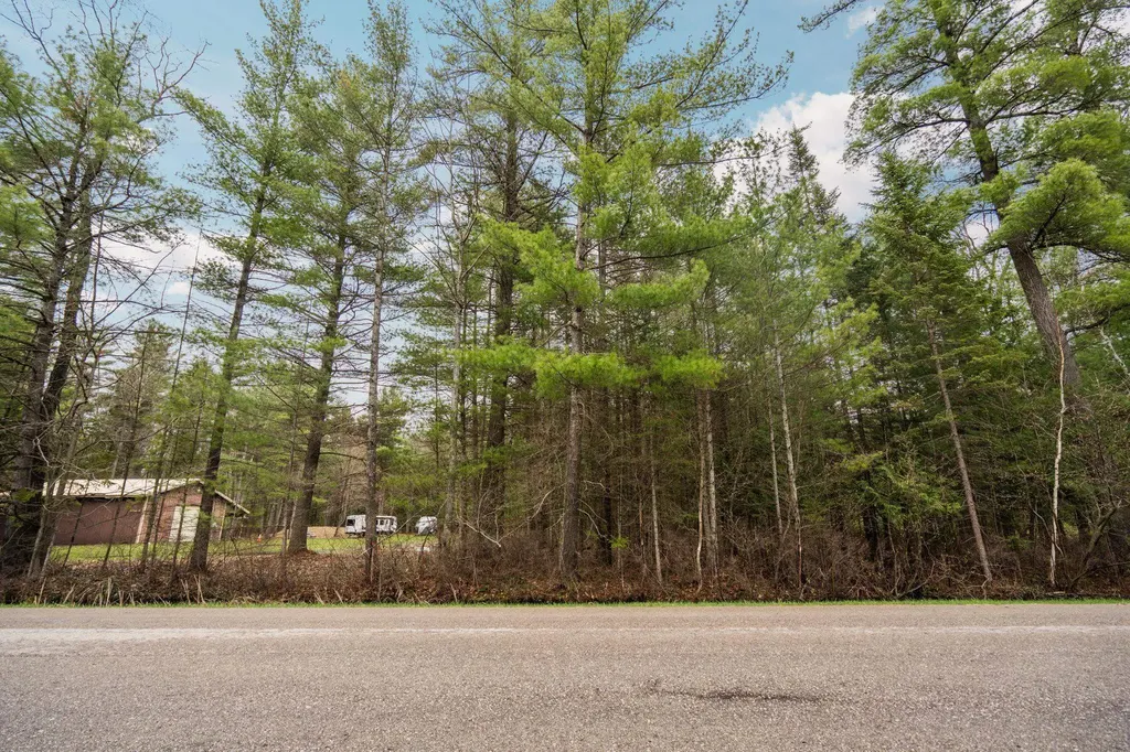 Parcel D Aarwood Trail Clearwater Township MI 49676