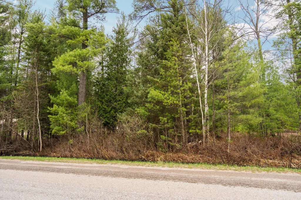 Parcel D Aarwood Trail Clearwater Township MI 49676