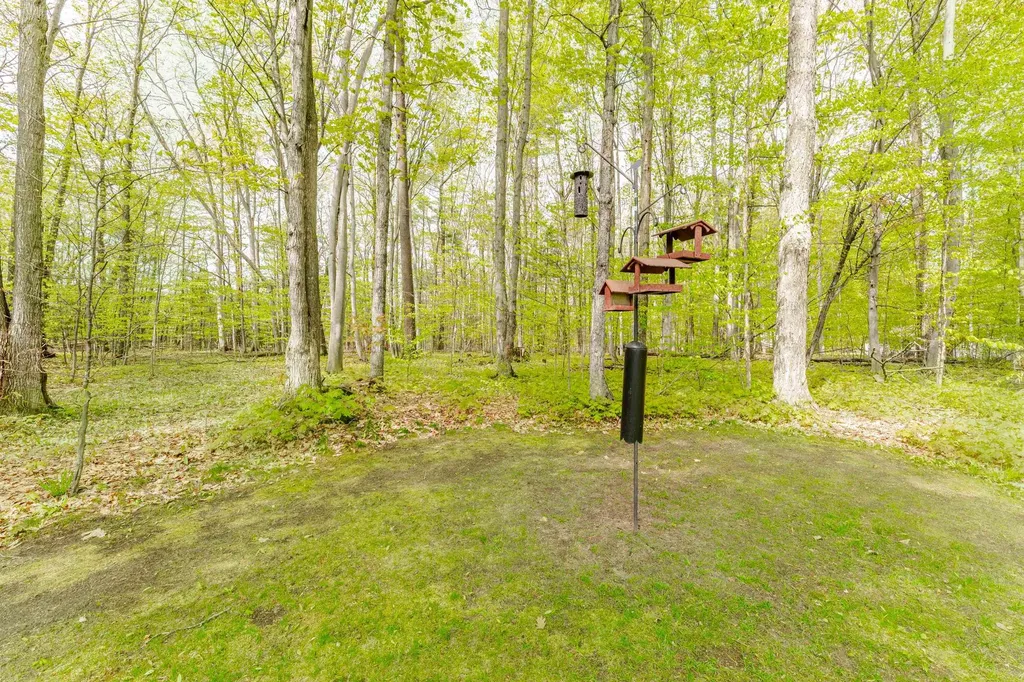 5185 Jacks Trail Long Lake Township MI 49684
