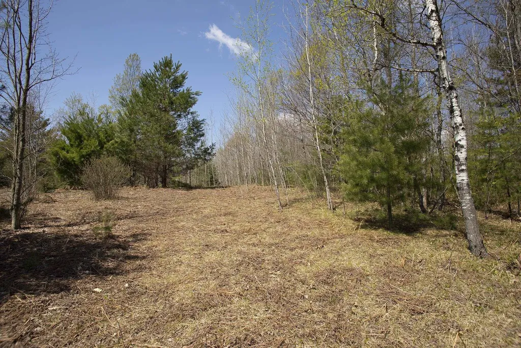 0002 M-66 SE Garfield Township MI 49633