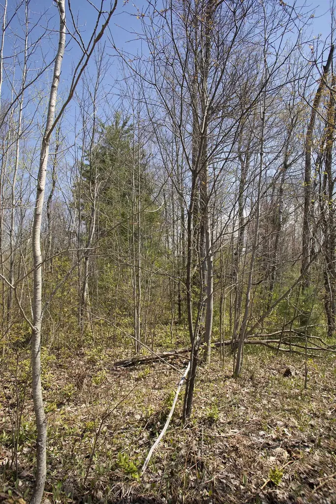 0002 M-66 SE Garfield Township MI 49633
