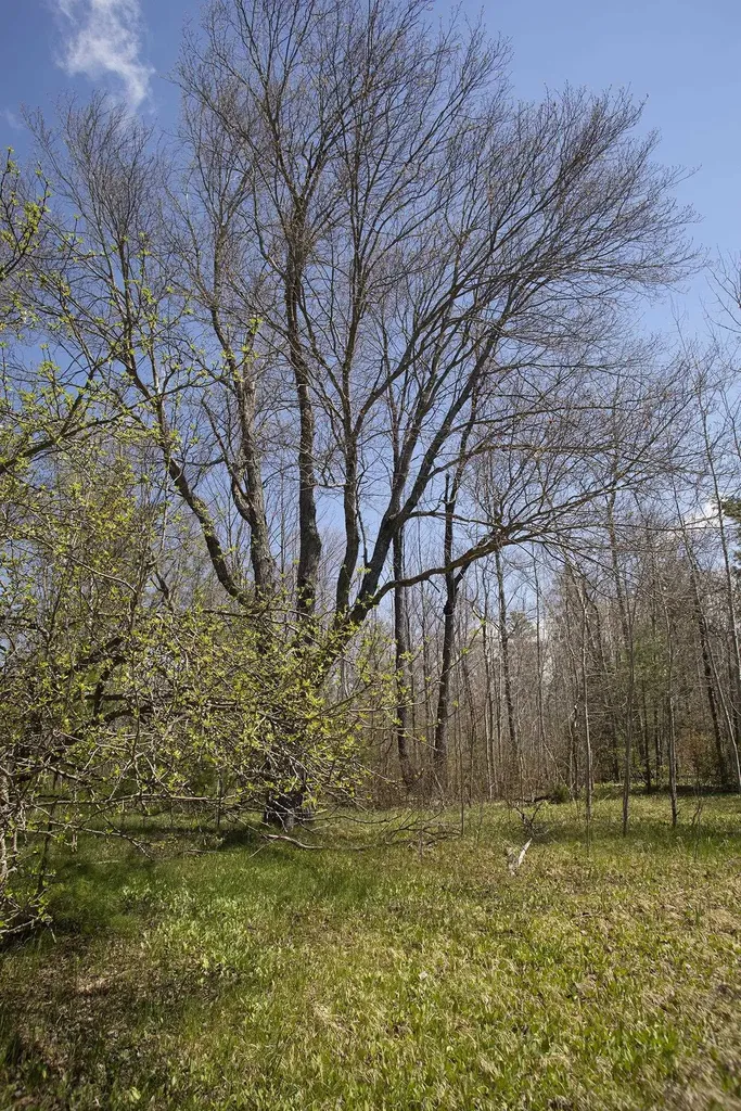 0002 M-66 SE Garfield Township MI 49633