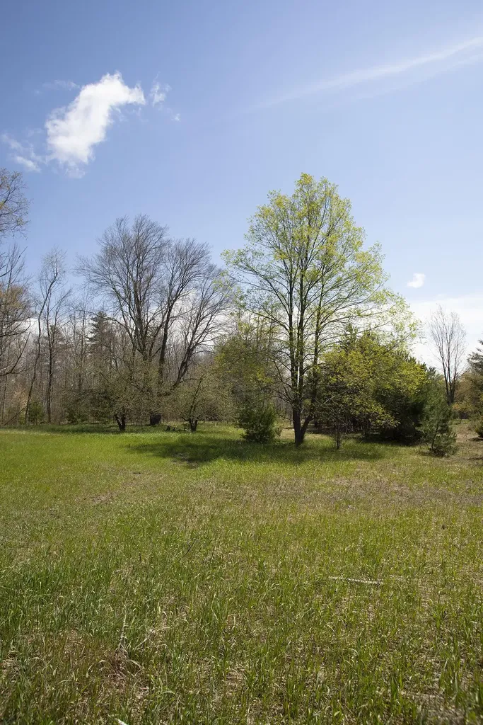 0002 M-66 SE Garfield Township MI 49633