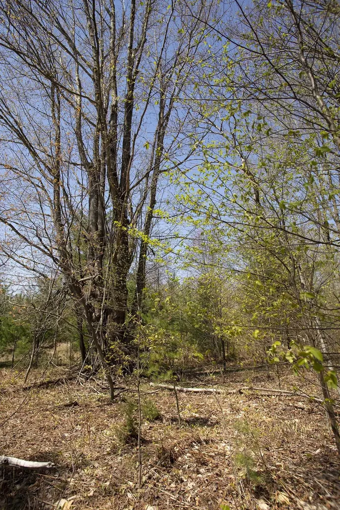 0002 M-66 SE Garfield Township MI 49633
