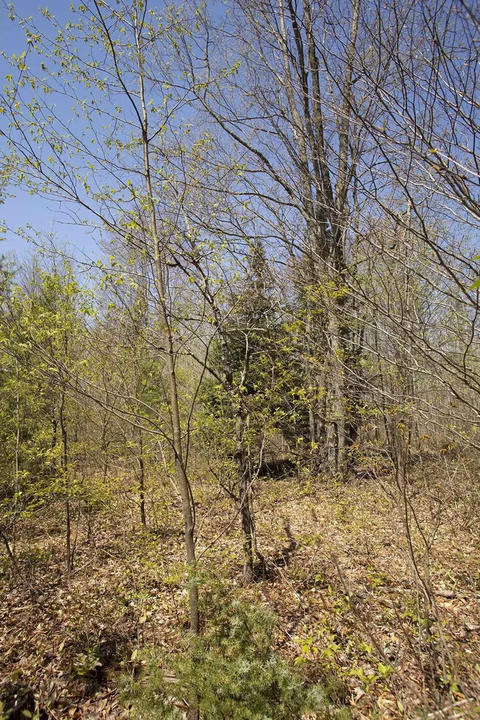 0002 M-66 SE Garfield Township MI 49633