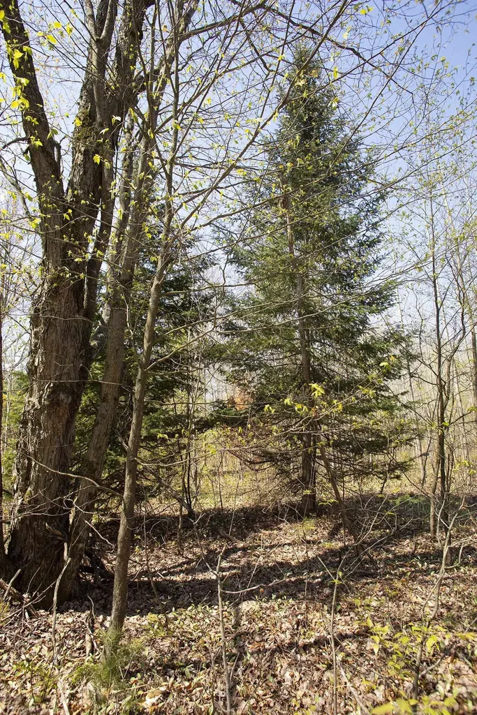 0002 M-66 SE Garfield Township MI 49633
