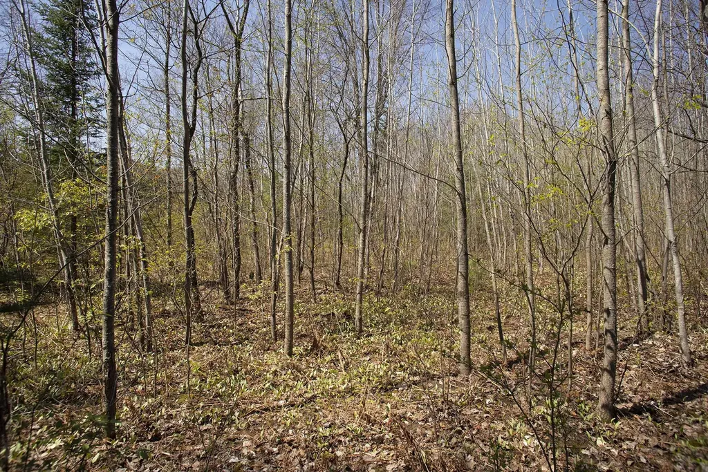 0002 M-66 SE Garfield Township MI 49633