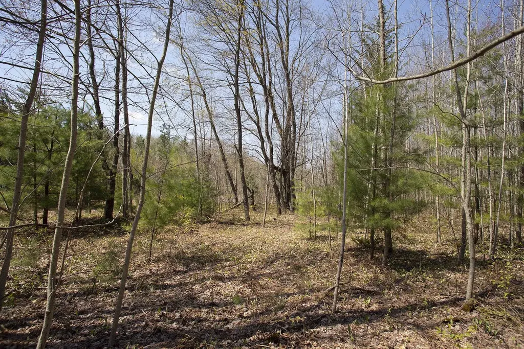 0002 M-66 SE Garfield Township MI 49633