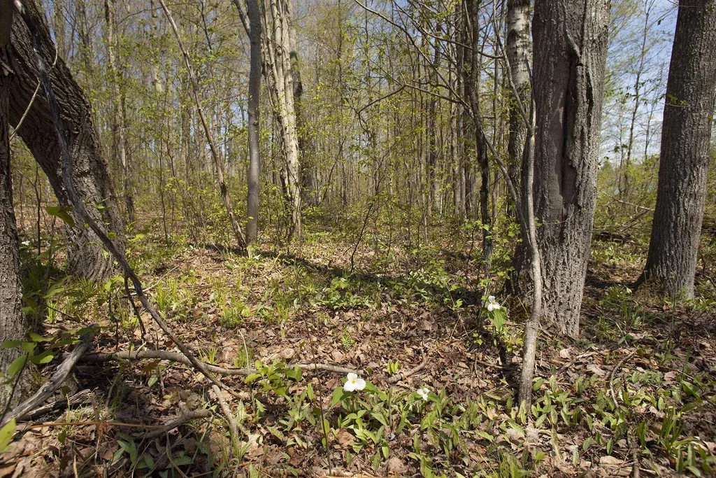0002 M-66 SE Garfield Township MI 49633