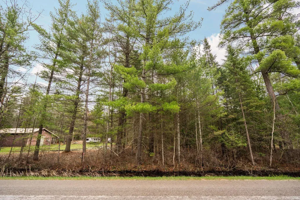 Parcel C Aarwood Trail Clearwater Township MI 49676