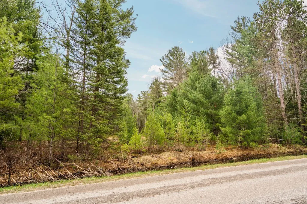 Parcel C Aarwood Trail Clearwater Township MI 49676