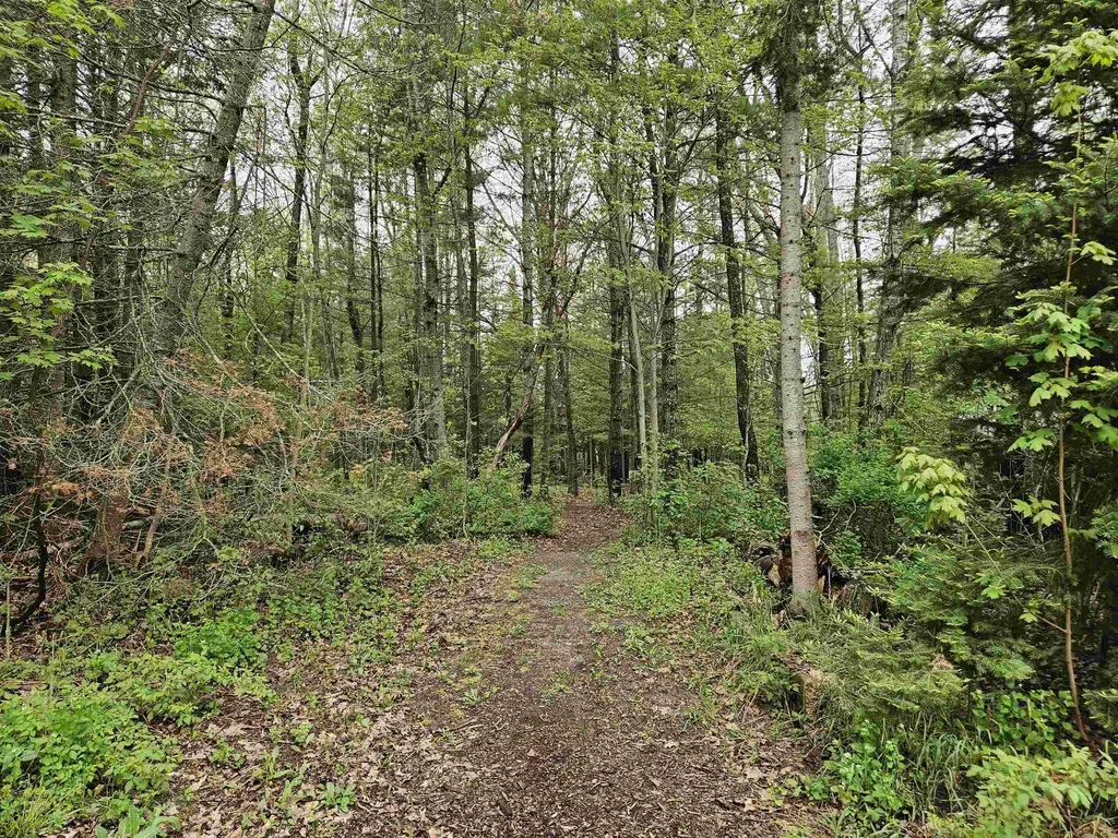 3056 Indian Hill Homestead Township MI 49640
