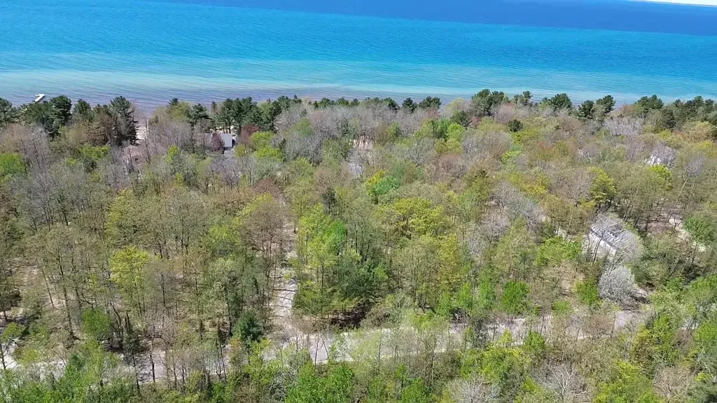 000 Golden Beach Drive Torch Lake Township MI 49648