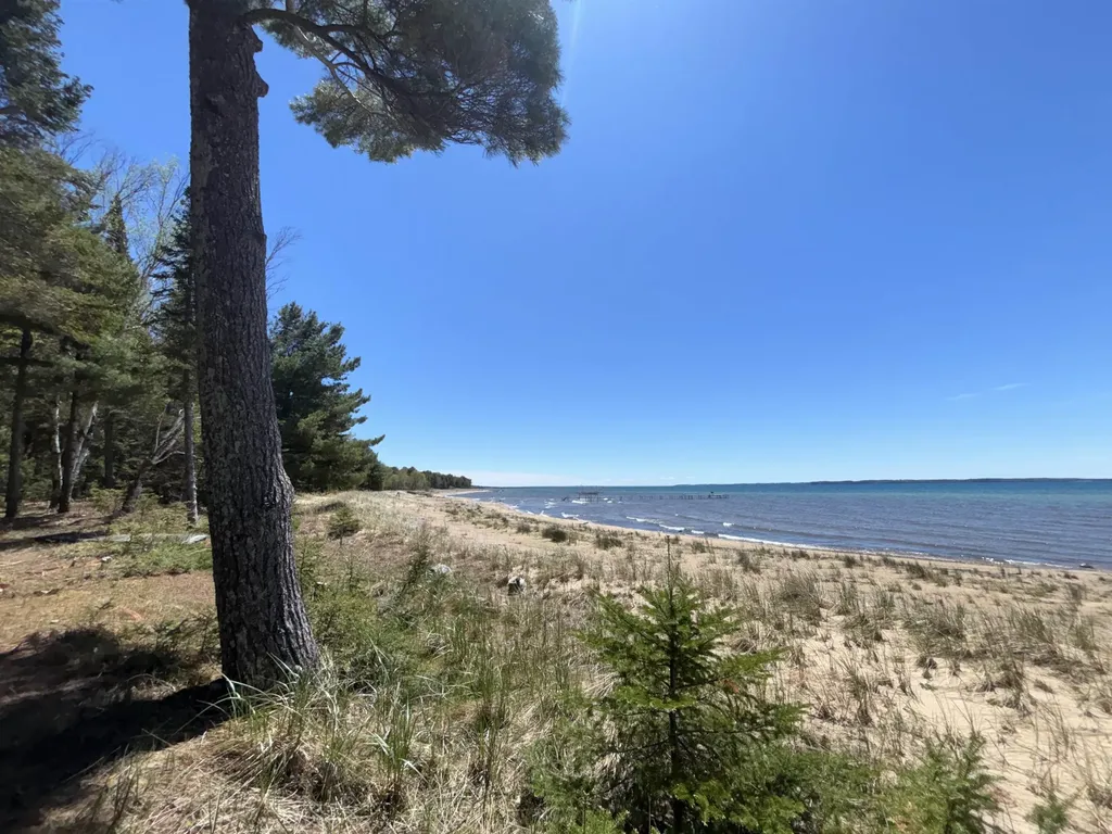 000 Golden Beach Drive Torch Lake Township MI 49648