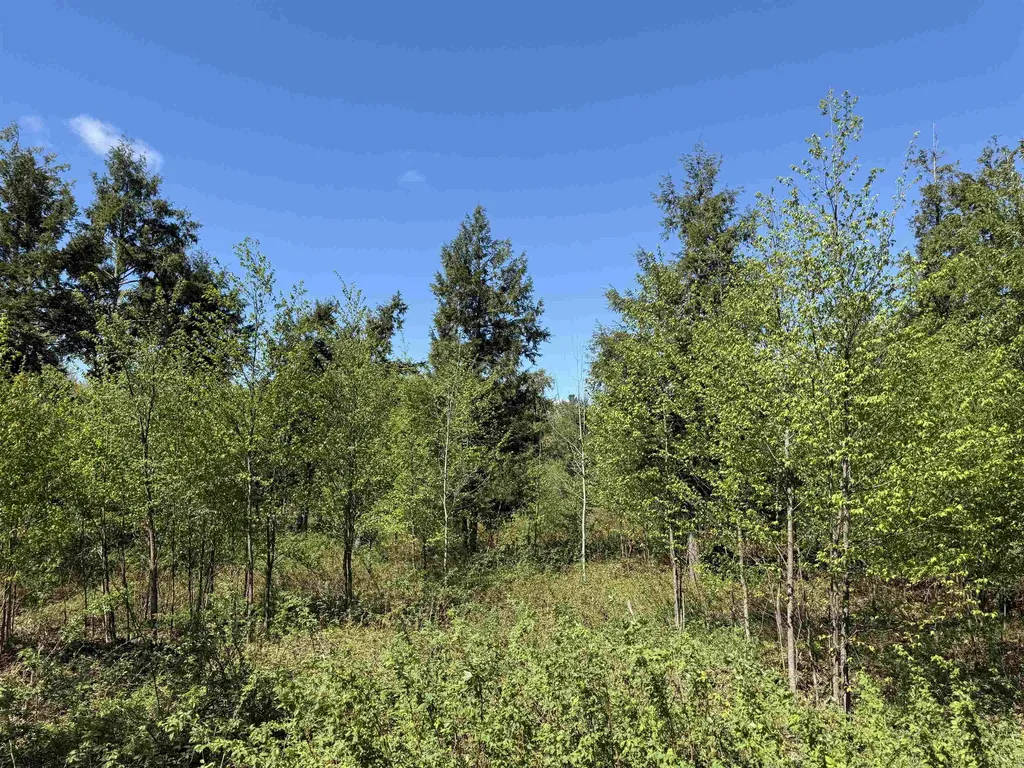 8787 Hemlock Hill Drive Long Lake Township MI 49685