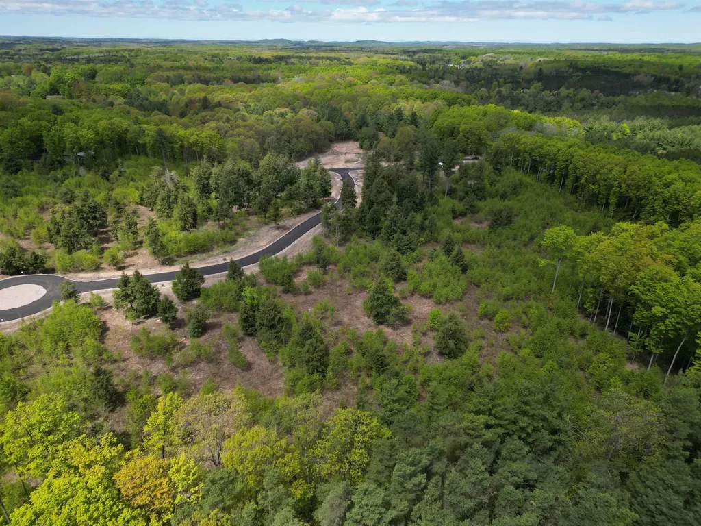 8787 Hemlock Hill Drive Long Lake Township MI 49685