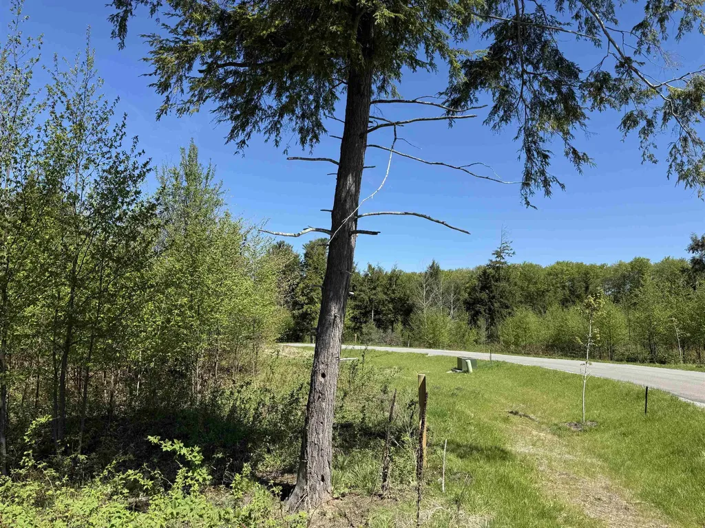 8787 Hemlock Hill Drive Long Lake Township MI 49685