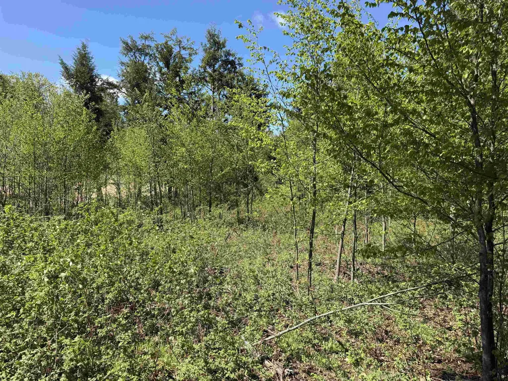 8787 Hemlock Hill Drive Long Lake Township MI 49685