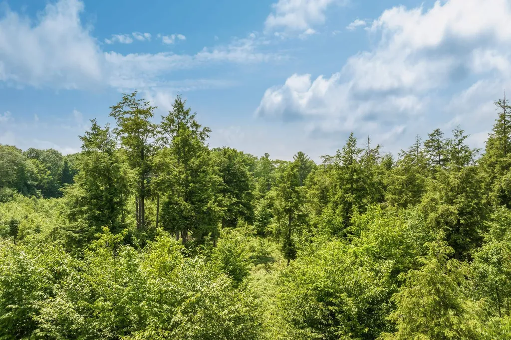 8787 Hemlock Hill Drive Long Lake Township MI 49685