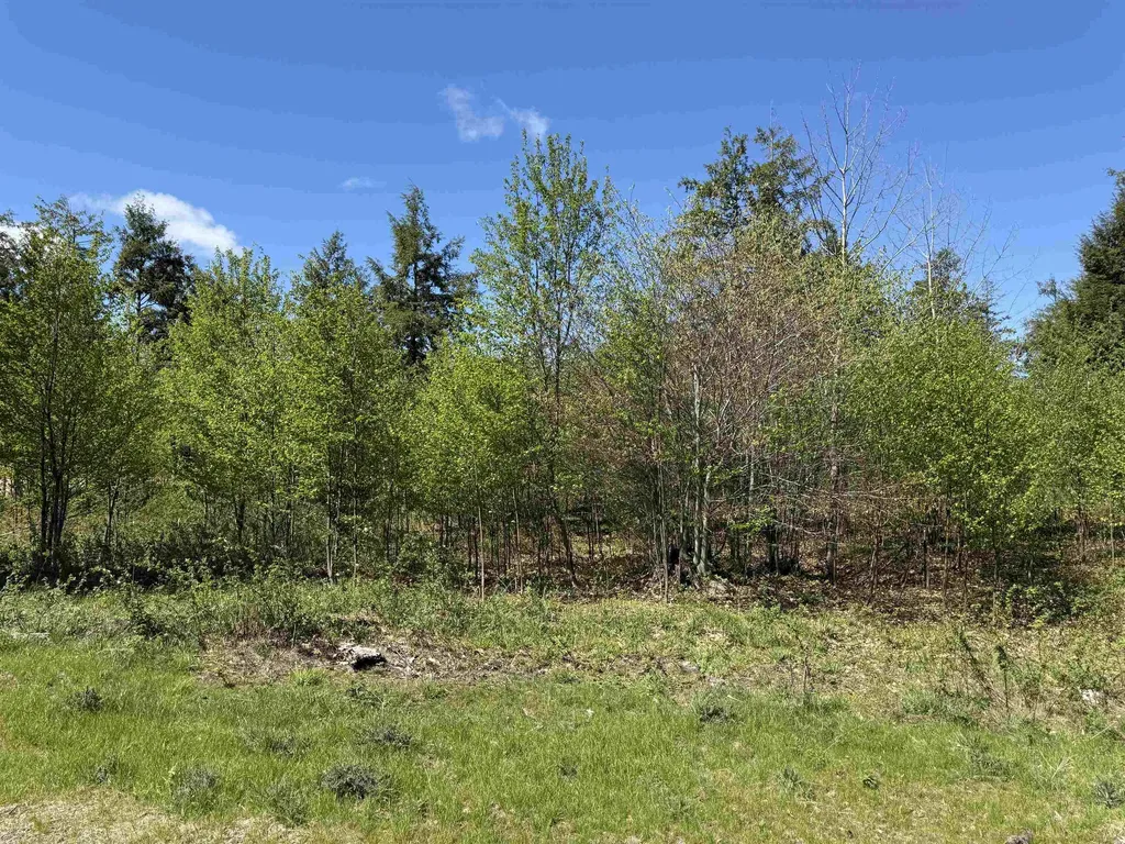 8787 Hemlock Hill Drive Long Lake Township MI 49685