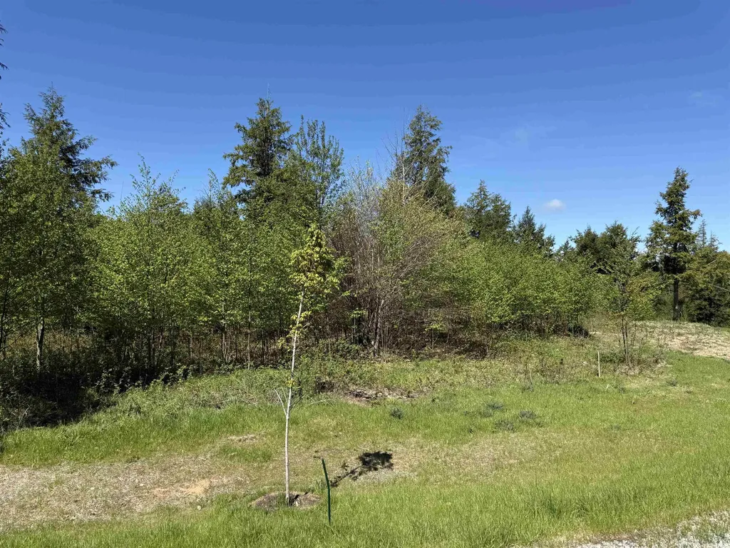 8787 Hemlock Hill Drive Long Lake Township MI 49685