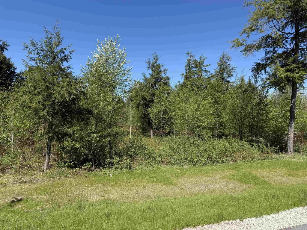 8787 Hemlock Hill Drive Long Lake Township MI 49685