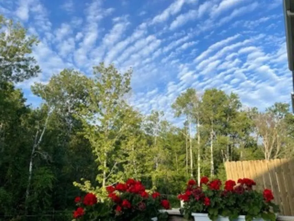 3863 Falling Leaf Trail East Bay Township MI 49686