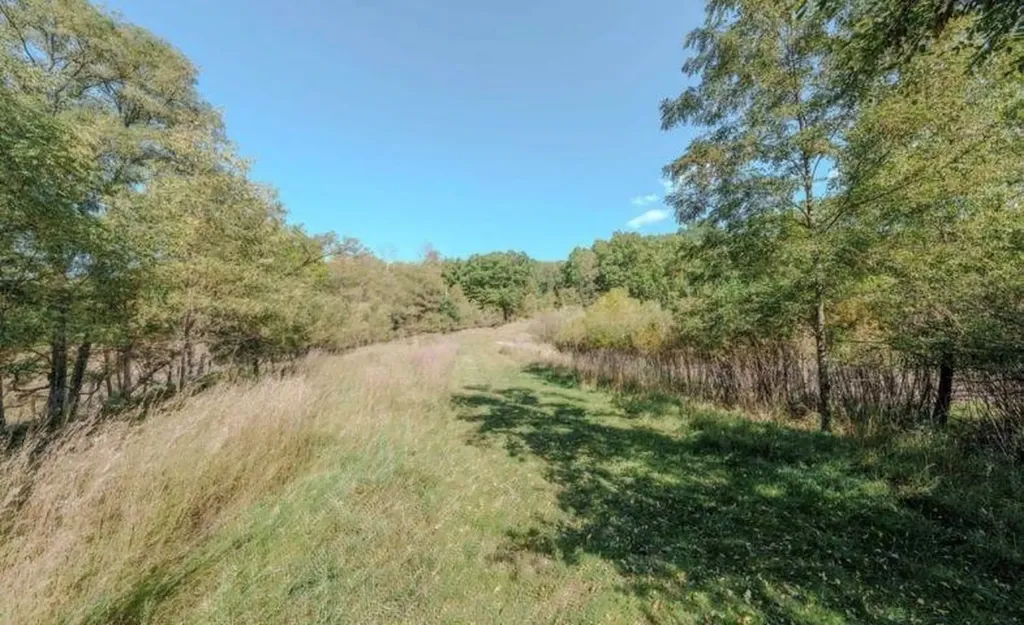 3863 Falling Leaf Trail East Bay Township MI 49686