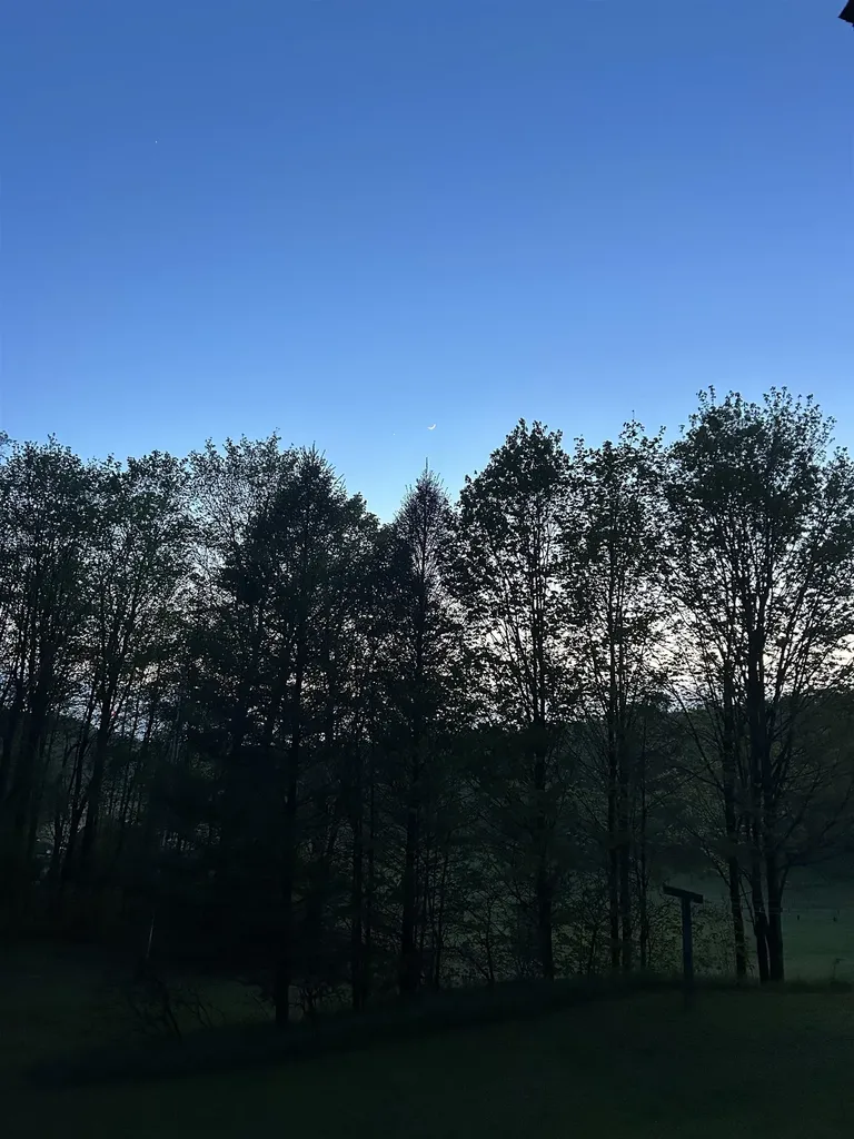3399 N Seeley Road Cedar Creek Township MI 49663