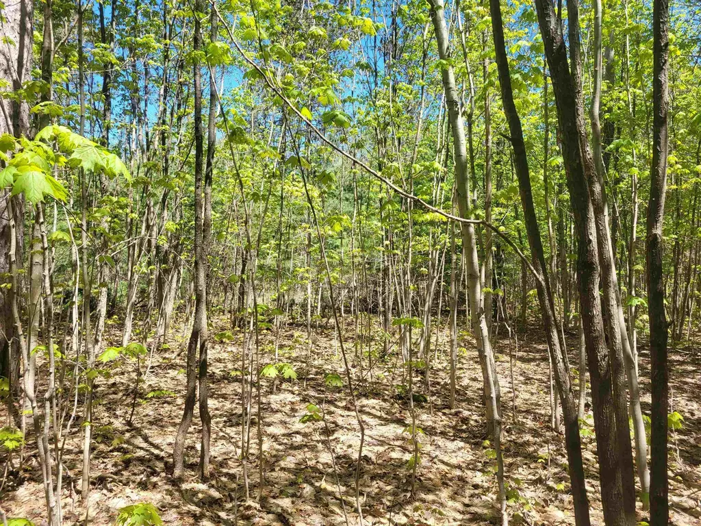 00 N Hulbert Road Inland Township MI 49643
