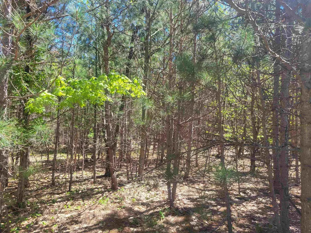 00 N Hulbert Road Inland Township MI 49643