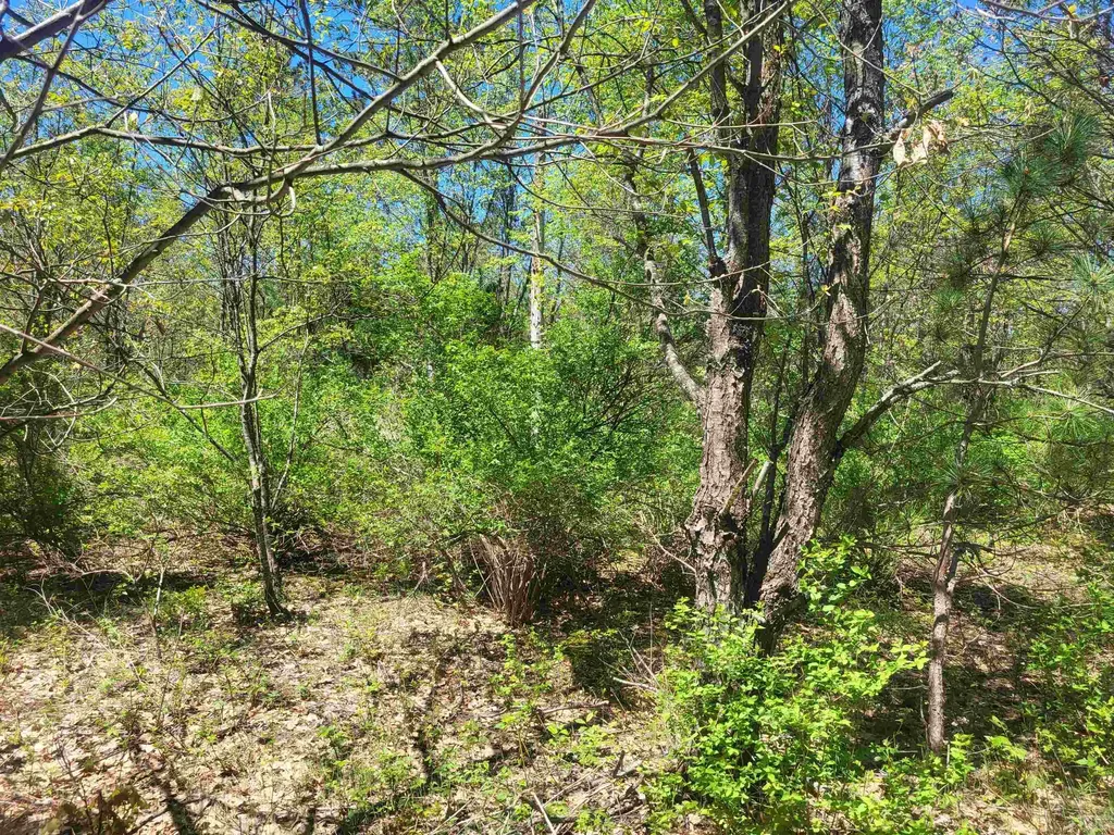00 N Hulbert Road Inland Township MI 49643
