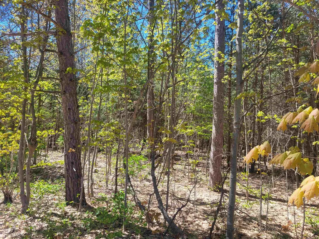 00 N Hulbert Road Inland Township MI 49643