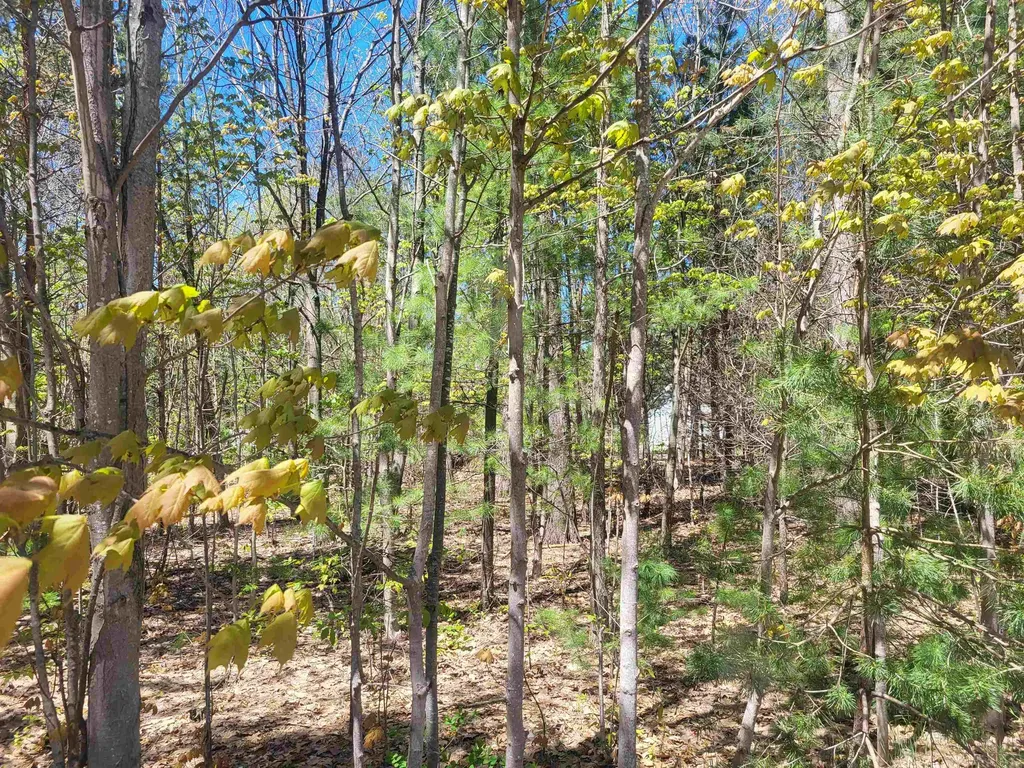 00 N Hulbert Road Inland Township MI 49643