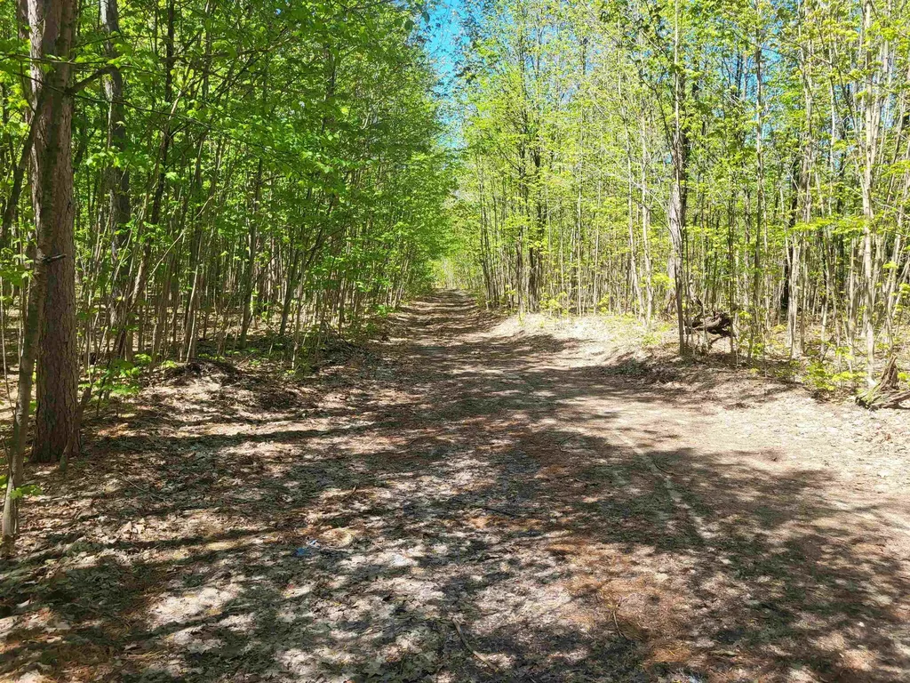 00 N Hulbert Road Inland Township MI 49643