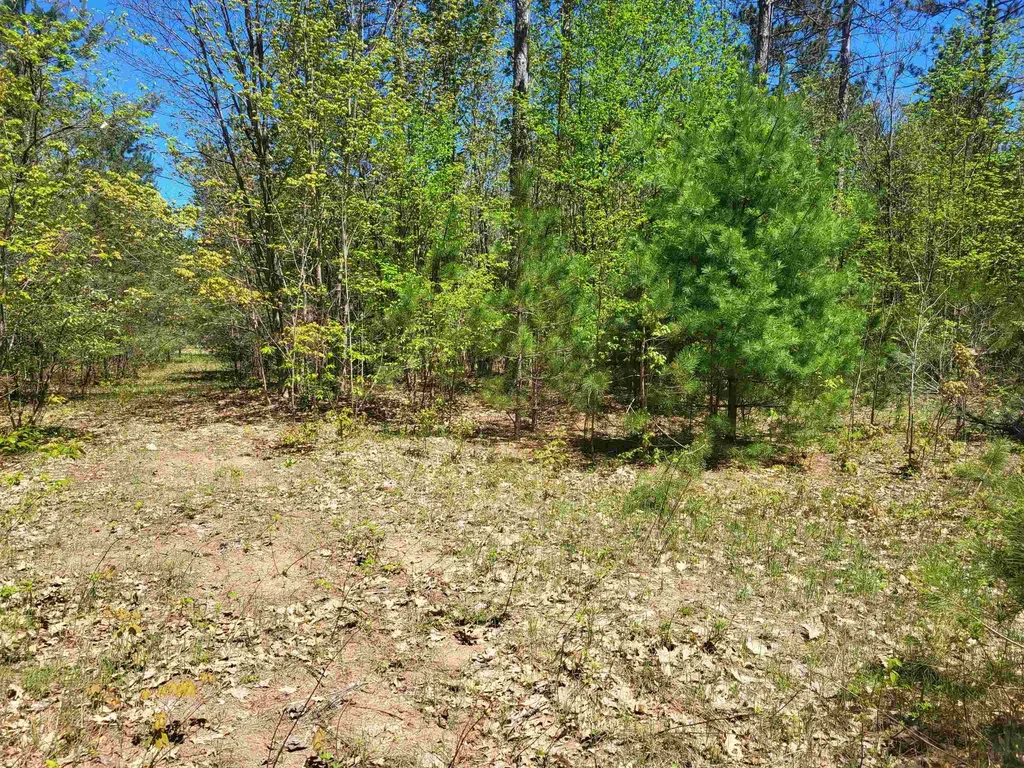 00 N Hulbert Road Inland Township MI 49643