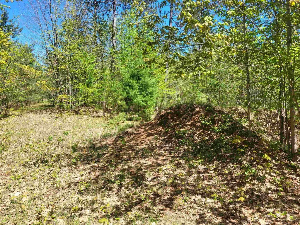00 N Hulbert Road Inland Township MI 49643
