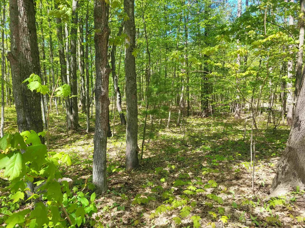 00 N Hulbert Road Inland Township MI 49643