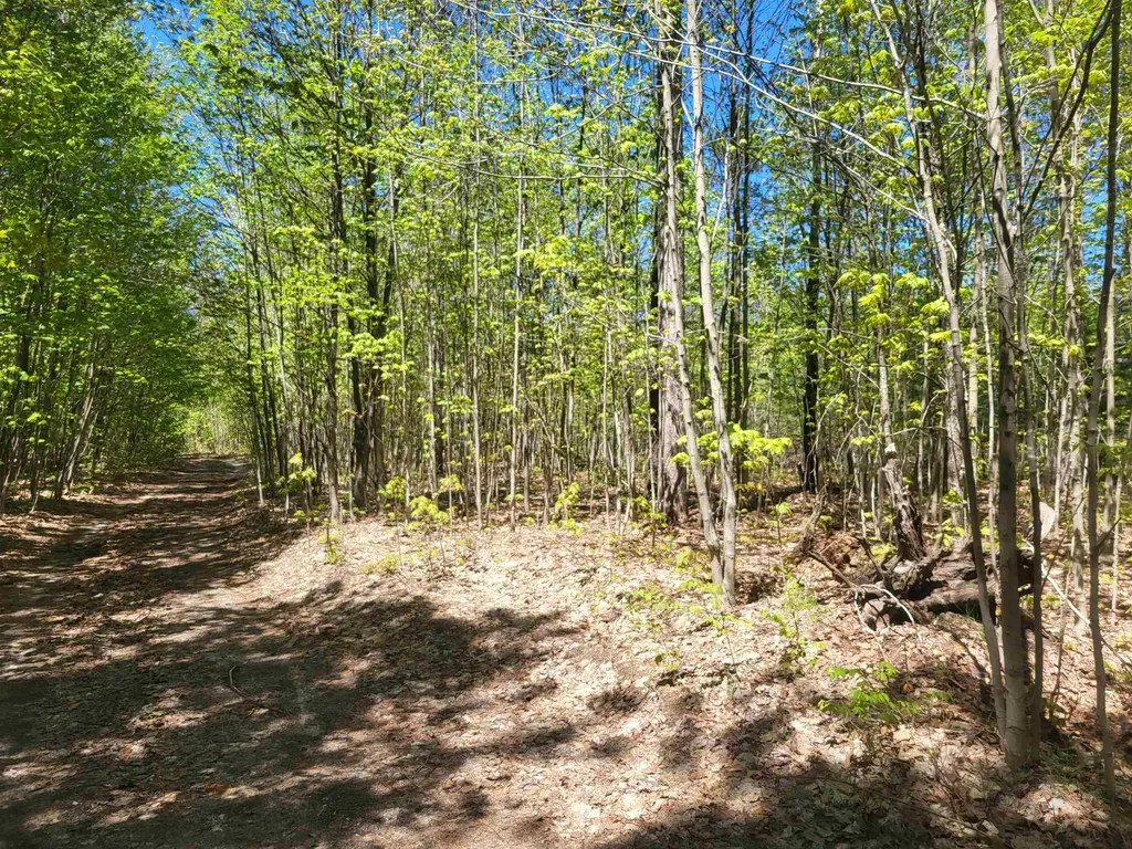 00 N Hulbert Road Inland Township MI 49643