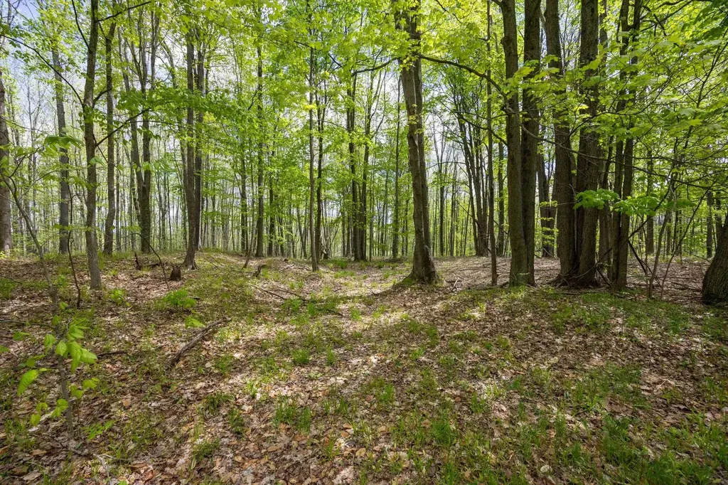 16130 140th Avenue Rose Lake Township MI 49655